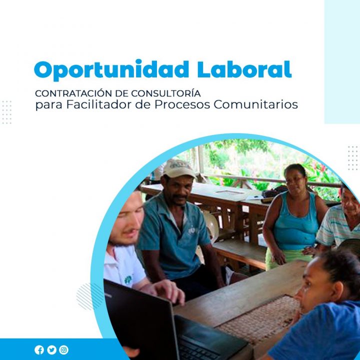 Consultoría