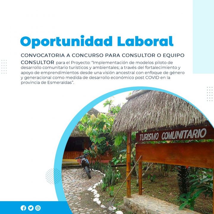 CONVOCATORIA CONSULTOR